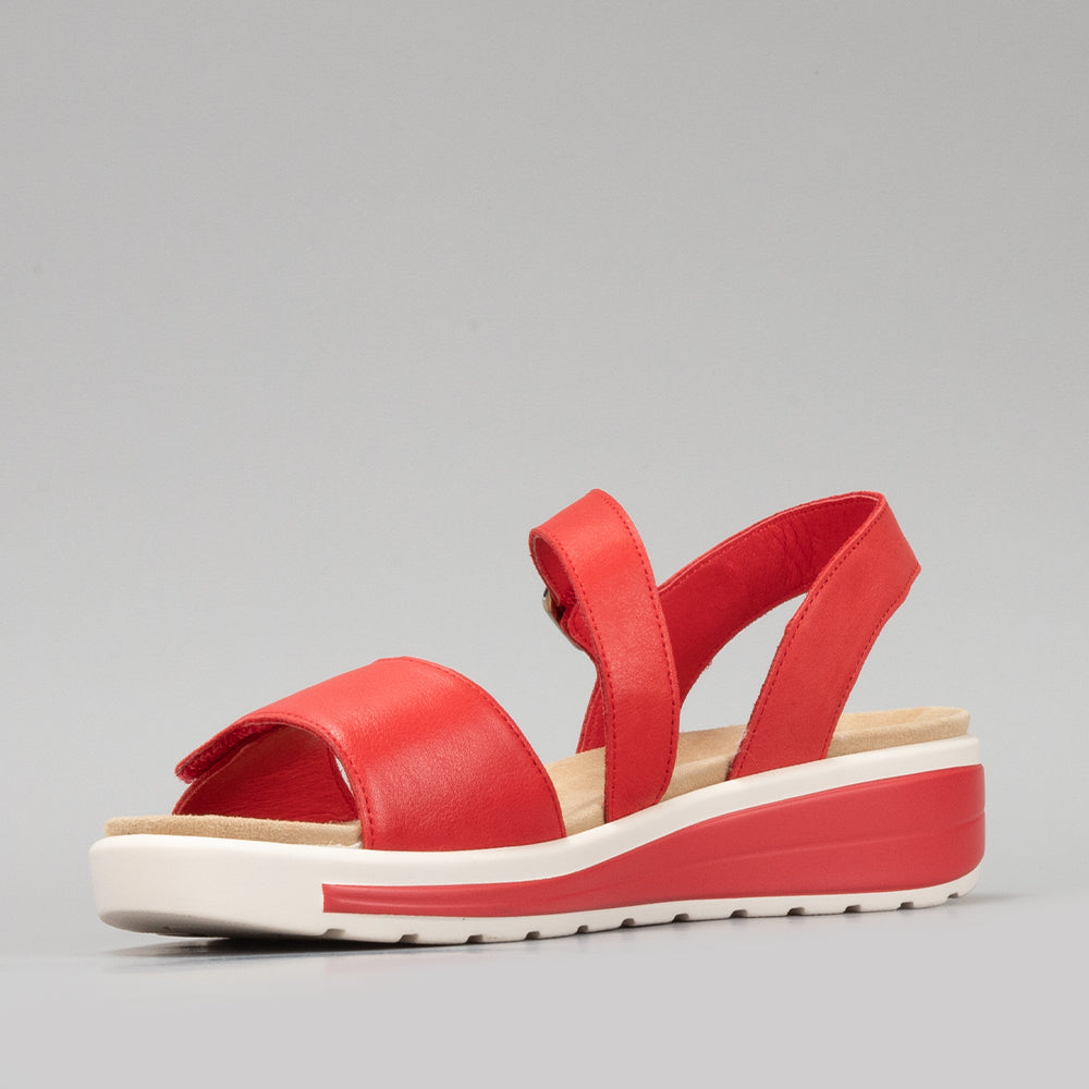 Hawai - Red