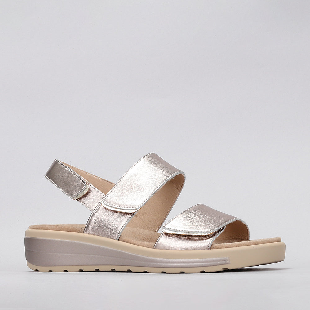 Hanza - Champagne - Naked Arches