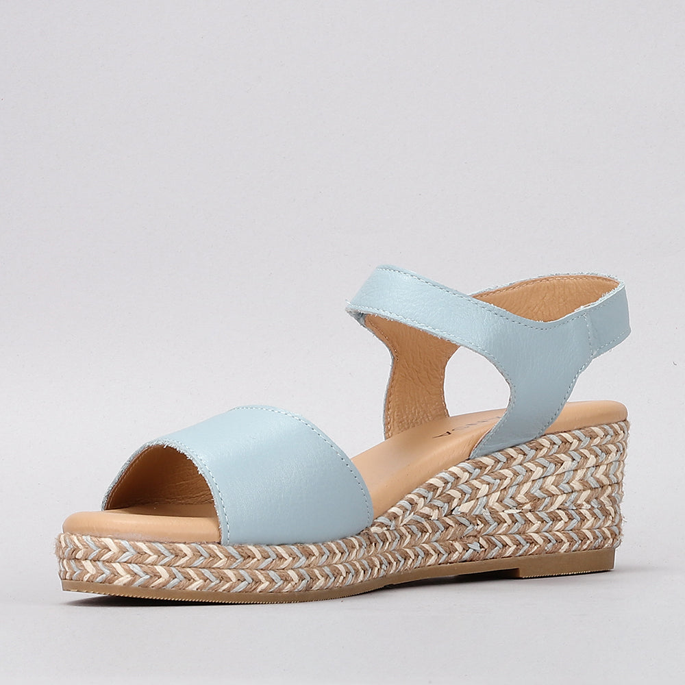 Denali - Baby Blue - LE SANSA