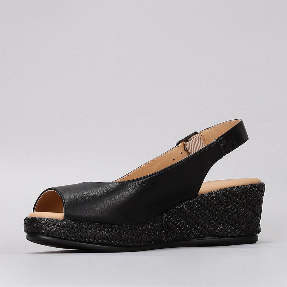 Petunia - Black