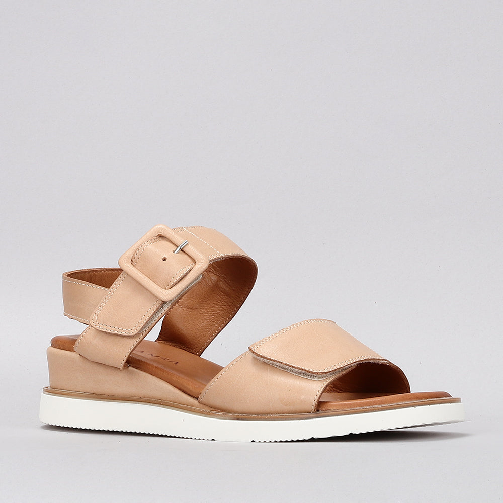 Tampa - Scissors - LE SANSA