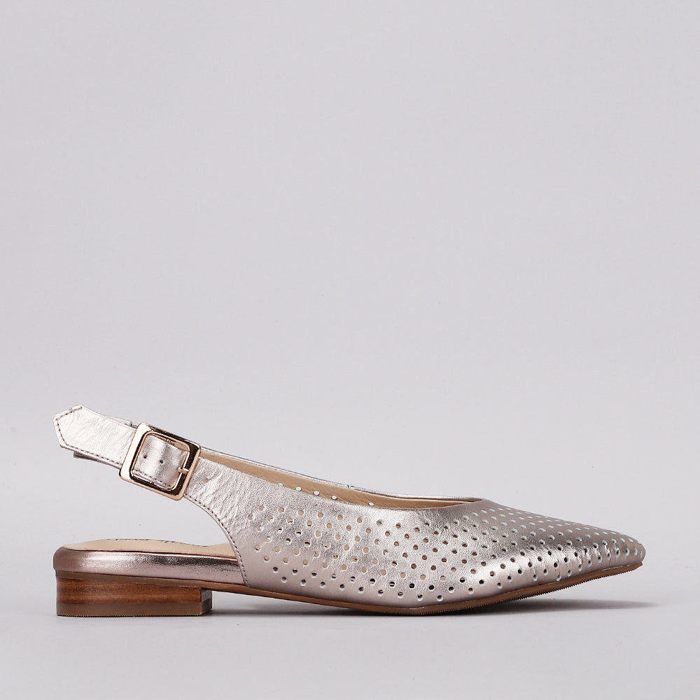 Zander - Champagne - Naked Arches