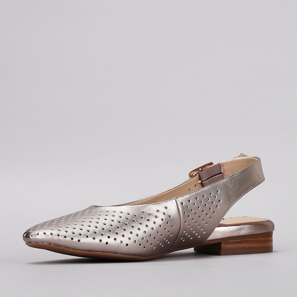 Zander - Champagne - Naked Arches