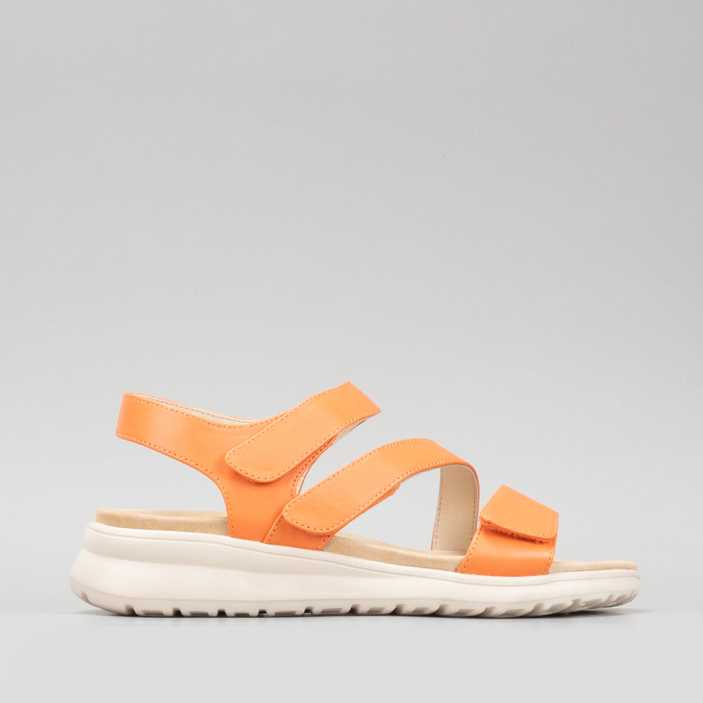 Punia - Sunburn Orange