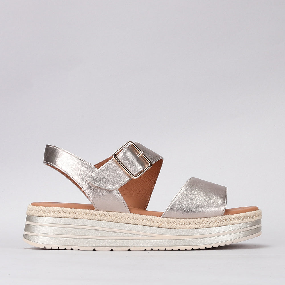 Savannah - Champagne