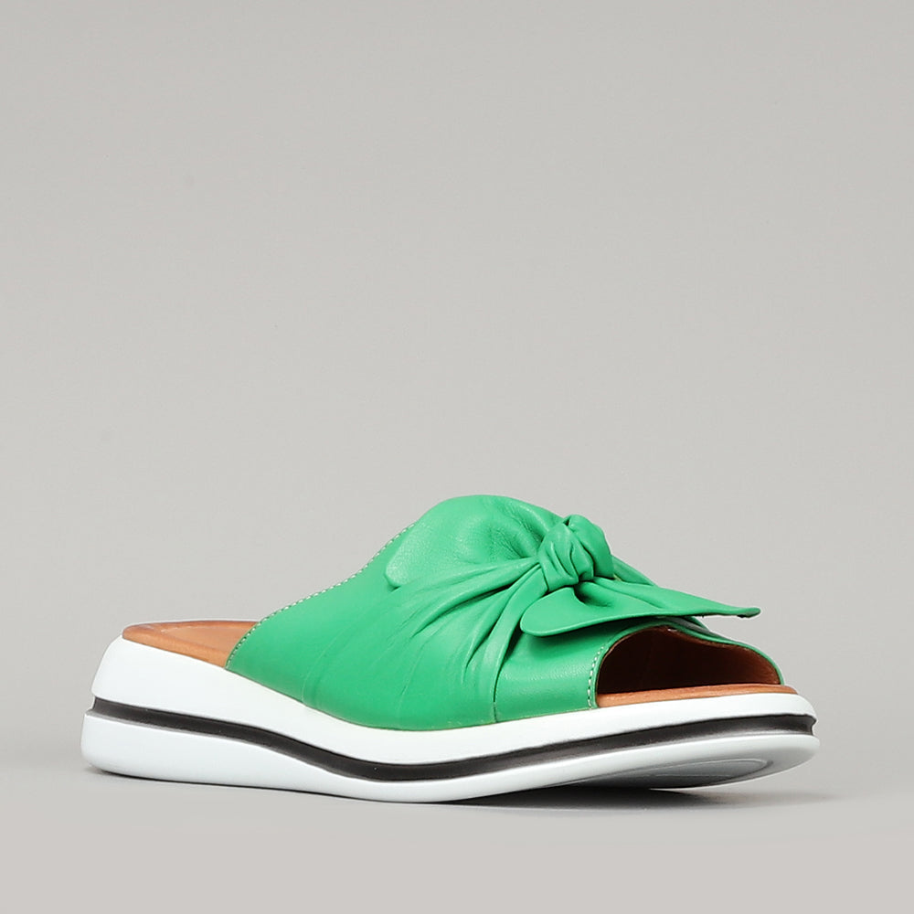 Salsa - Fern Green