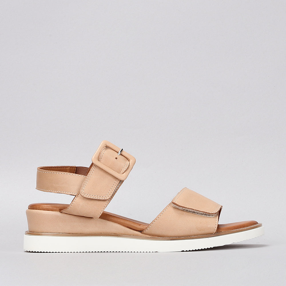 Tampa - Scissors - LE SANSA