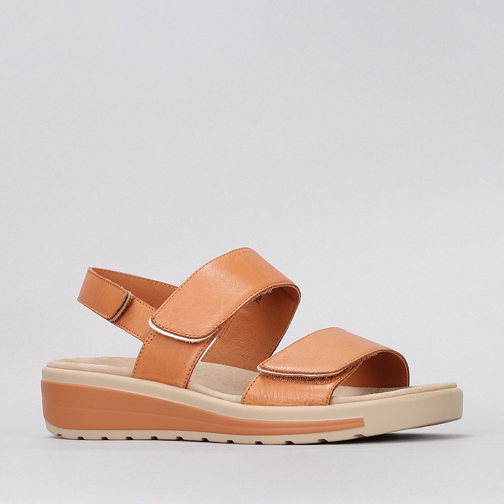 Hanza - Tan - Naked Arches