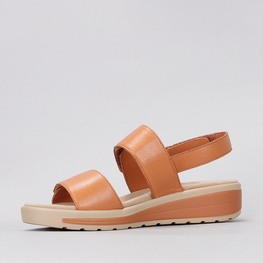 Hanza - Tan - Naked Arches