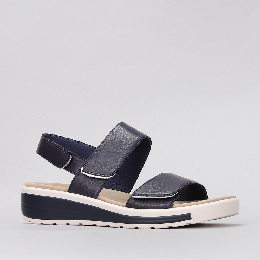 Hanza - Navy - Naked Arches