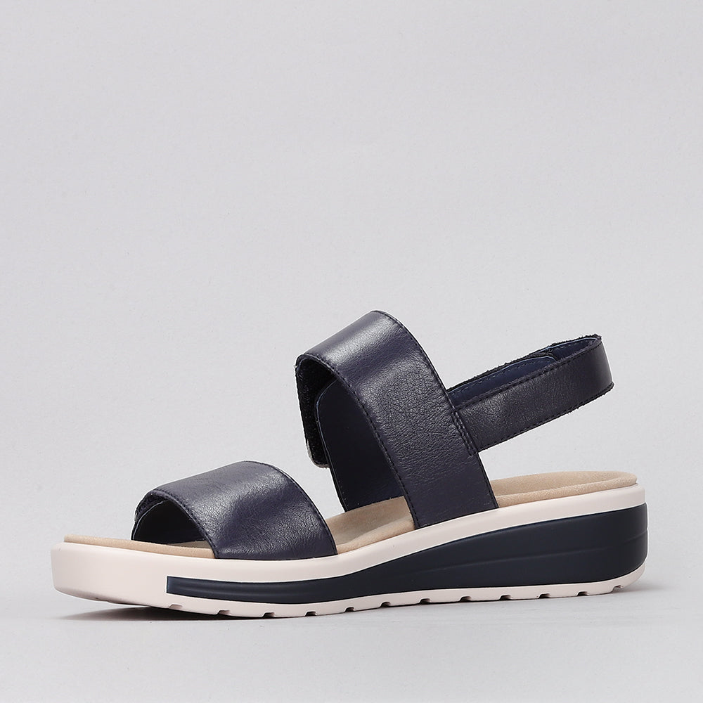 Hanza - Navy - Naked Arches