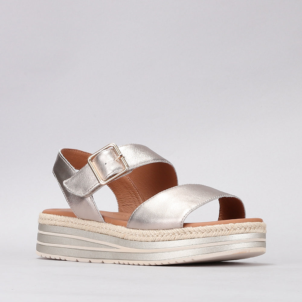 Savannah - Champagne