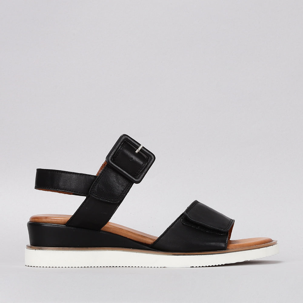 Tampa - Black - LE SANSA