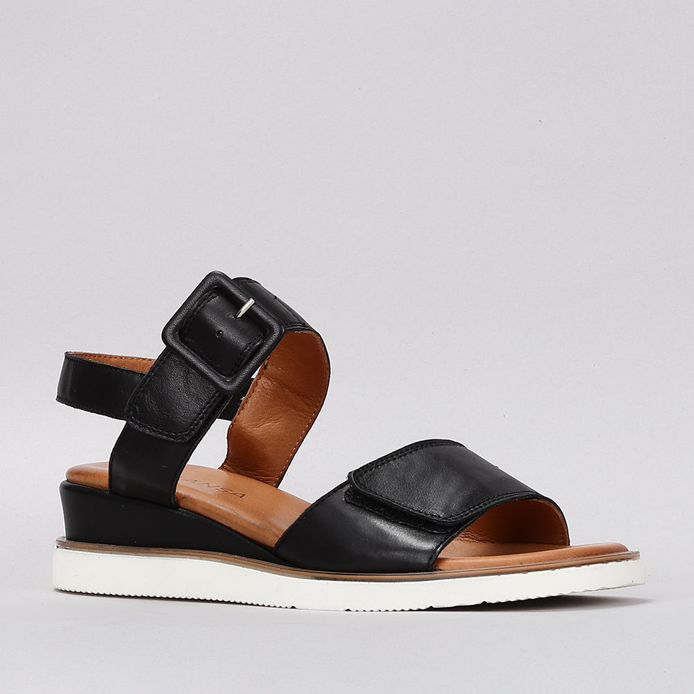 Tampa - Black - LE SANSA