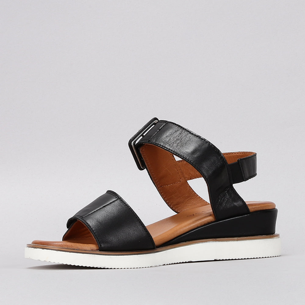 Tampa - Black - LE SANSA