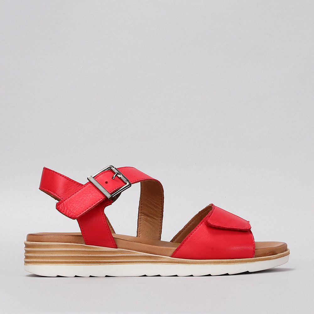 Marlon - Red - LE SANSA