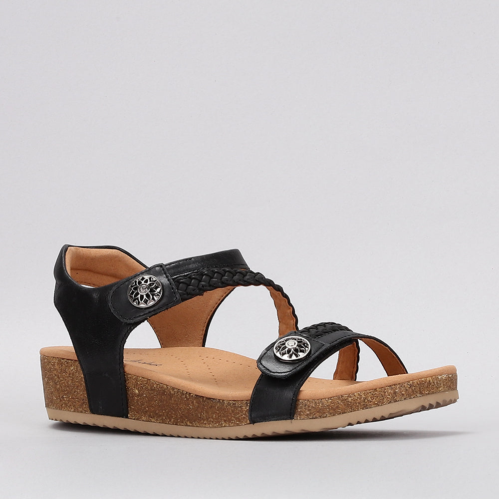 Sequoila - Black - Naked Arches