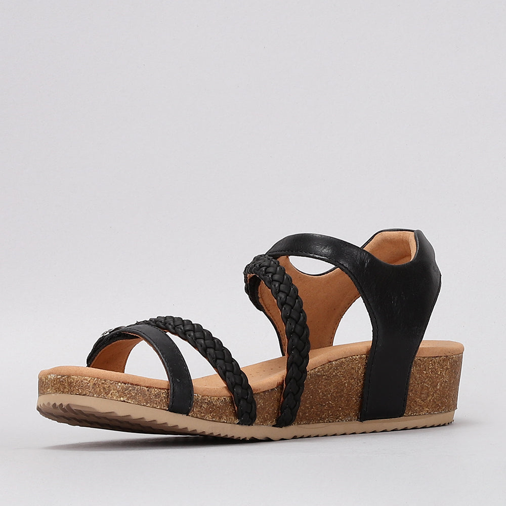 Sequoila - Black - Naked Arches