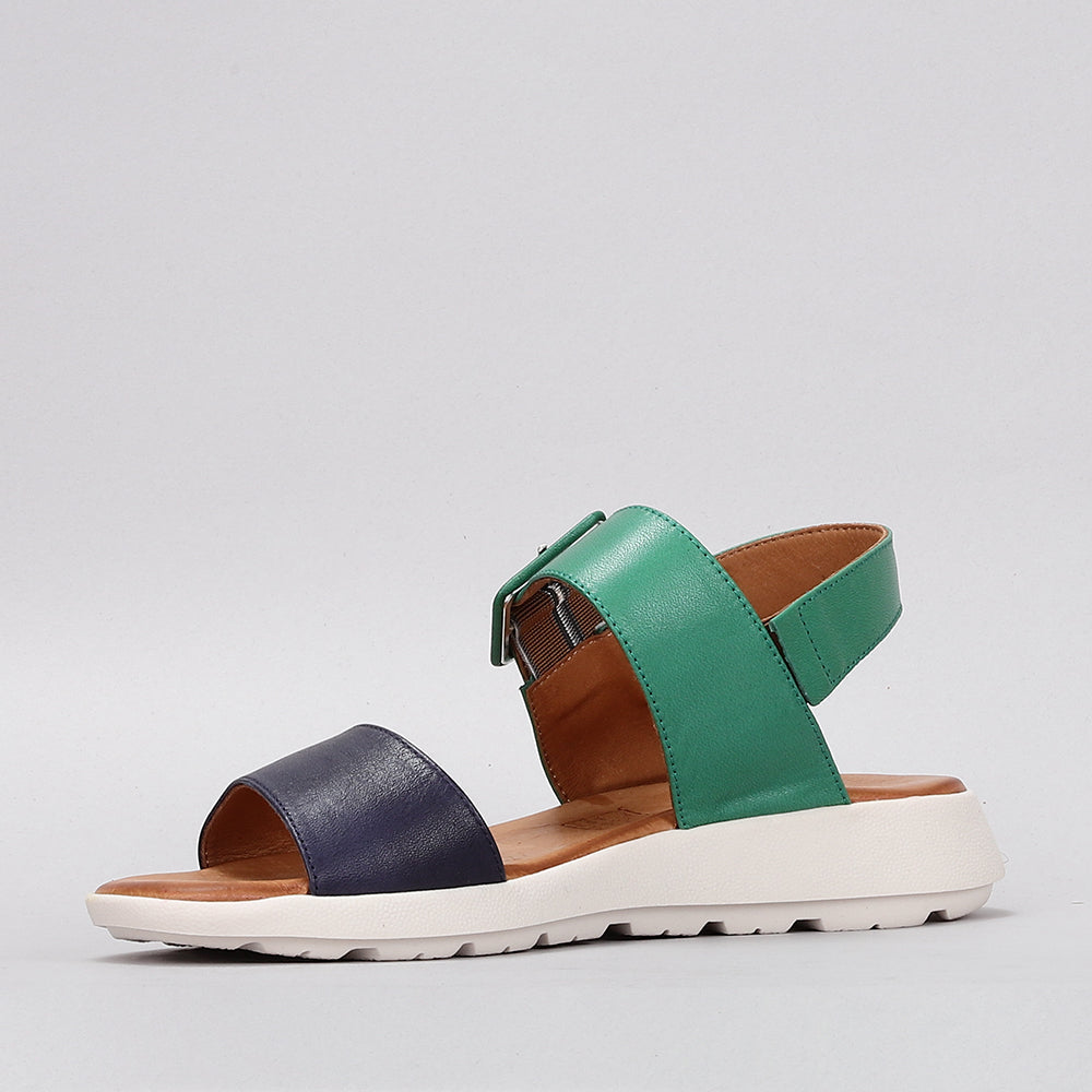 Easy - Navy/Green - LE SANSA