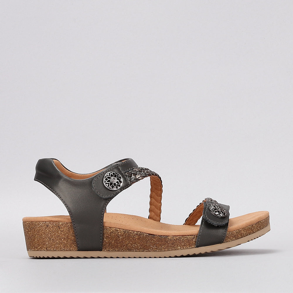 Sequoila - Pewter - Naked Arches