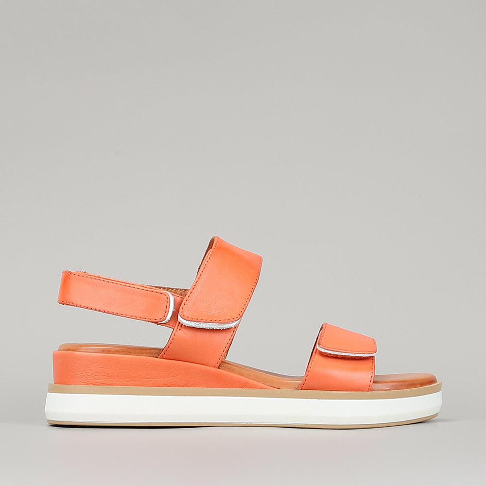 Holly - Orange