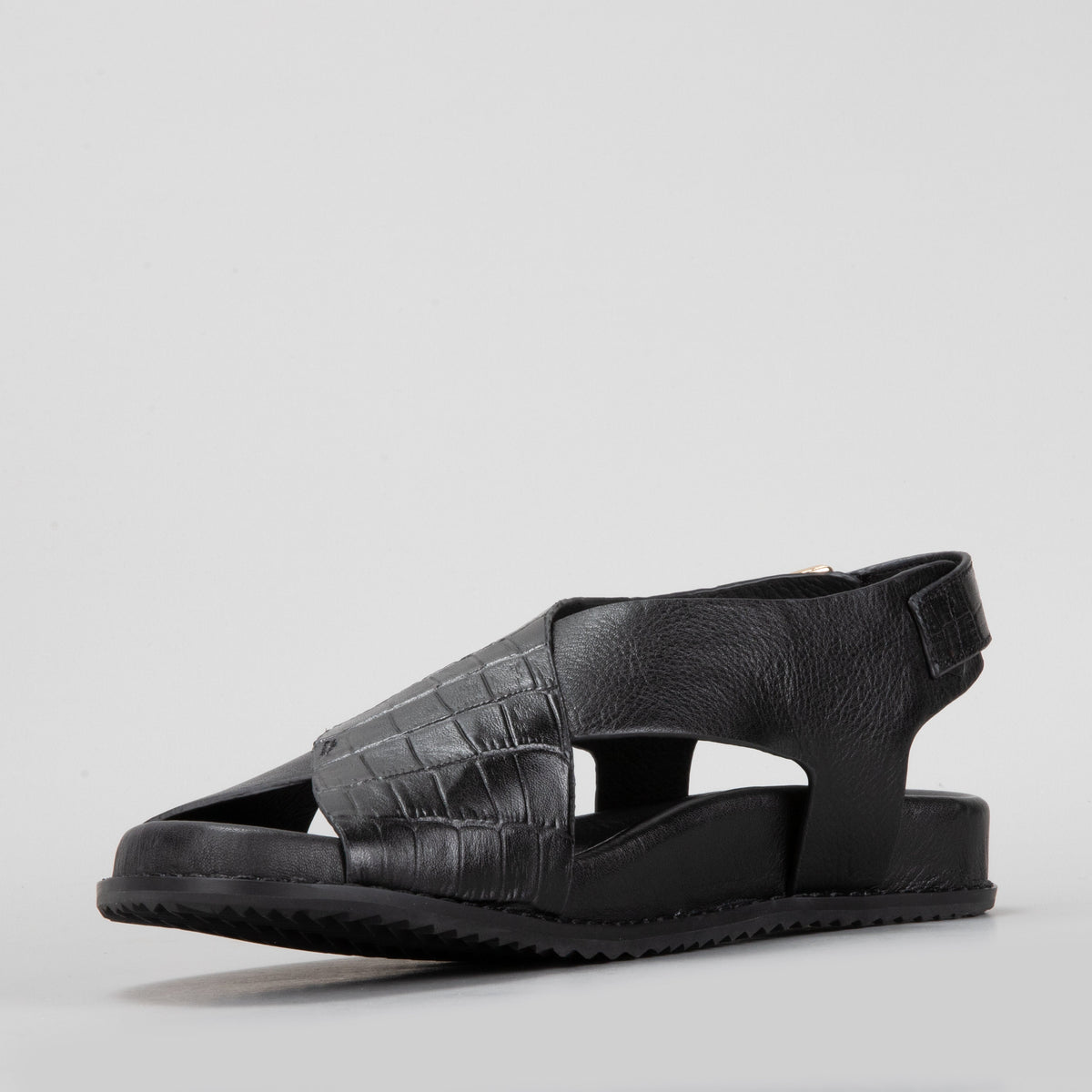 Zigilia - Black Croc