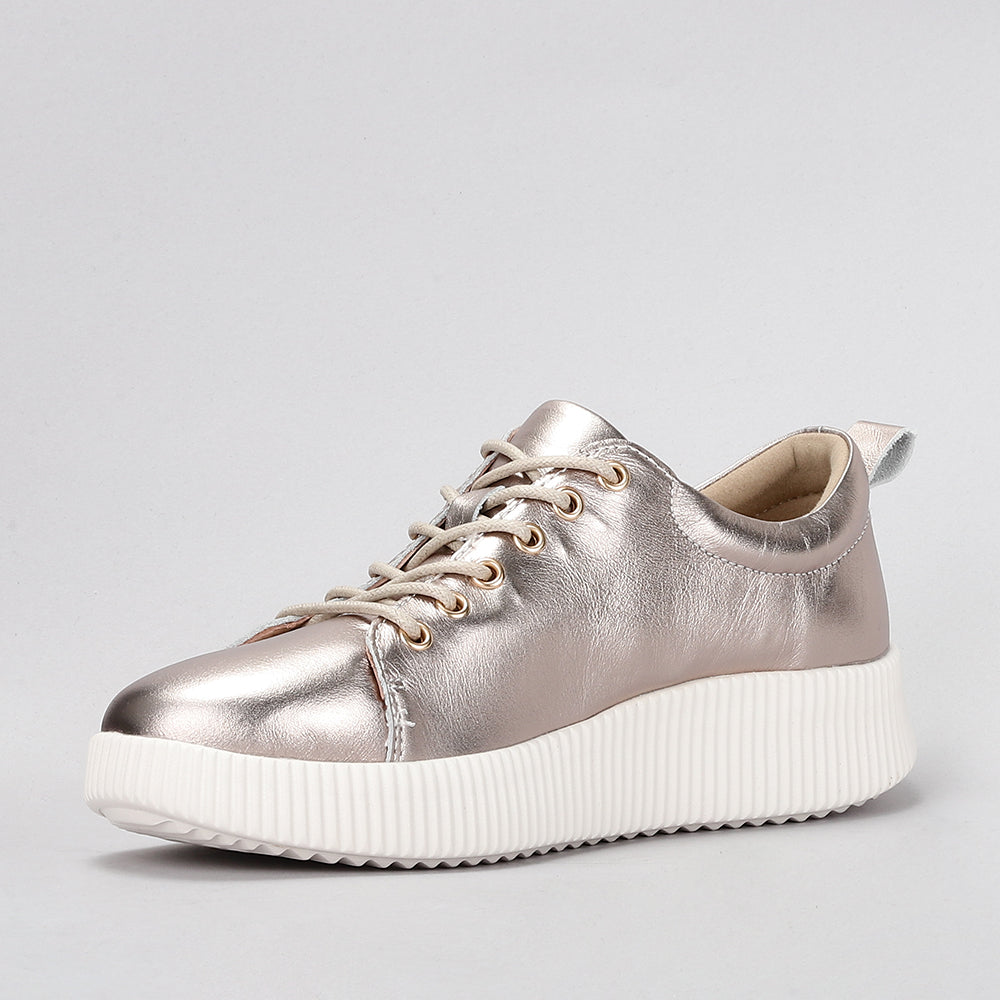 Clara - Champagne - LE SANSA