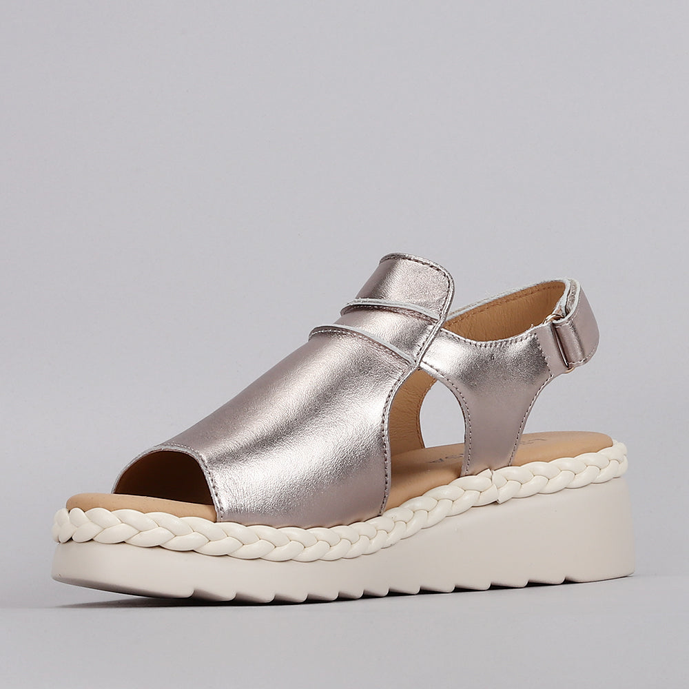 Emmeline - Champagne - LE SANSA