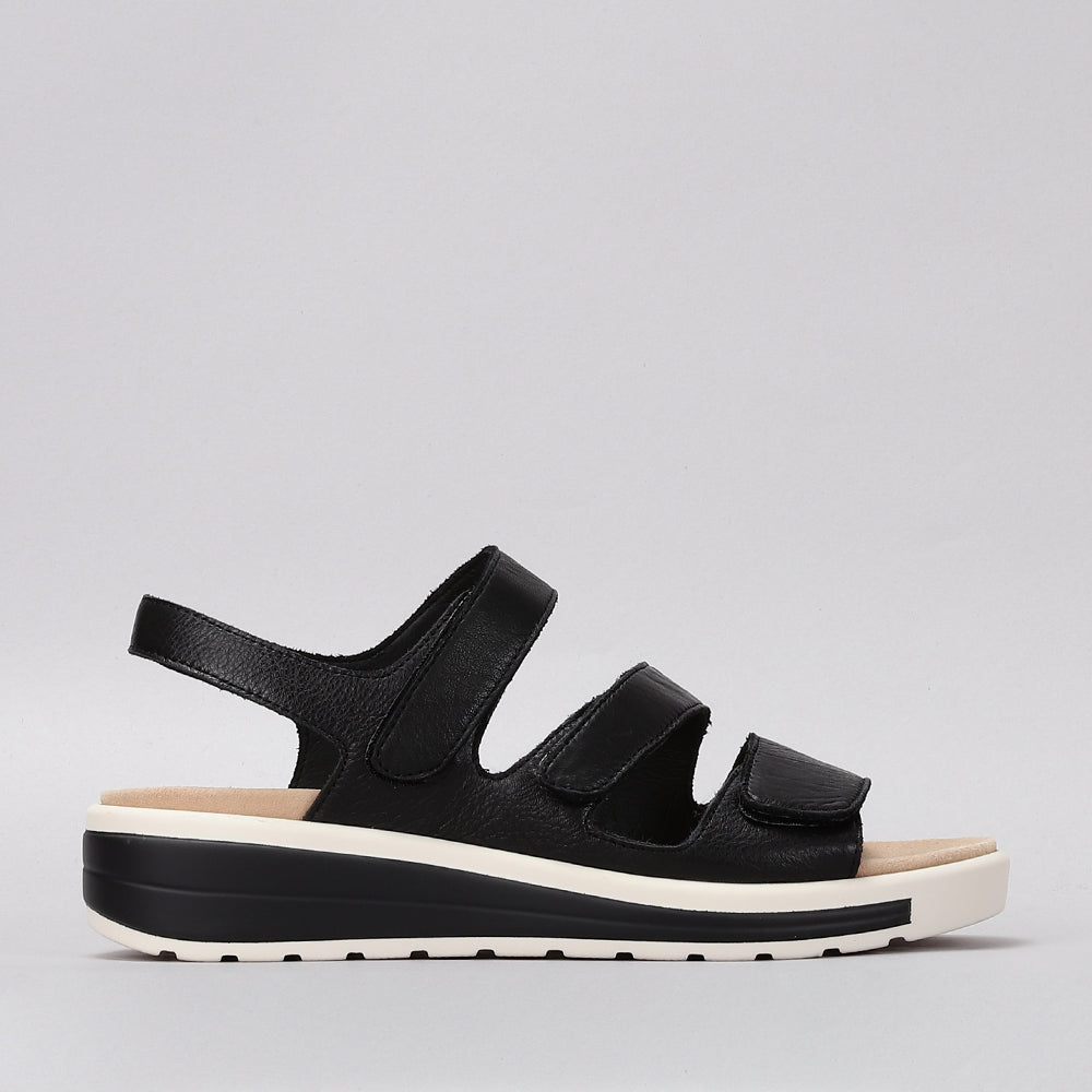 Holiday - Black - Naked Arches