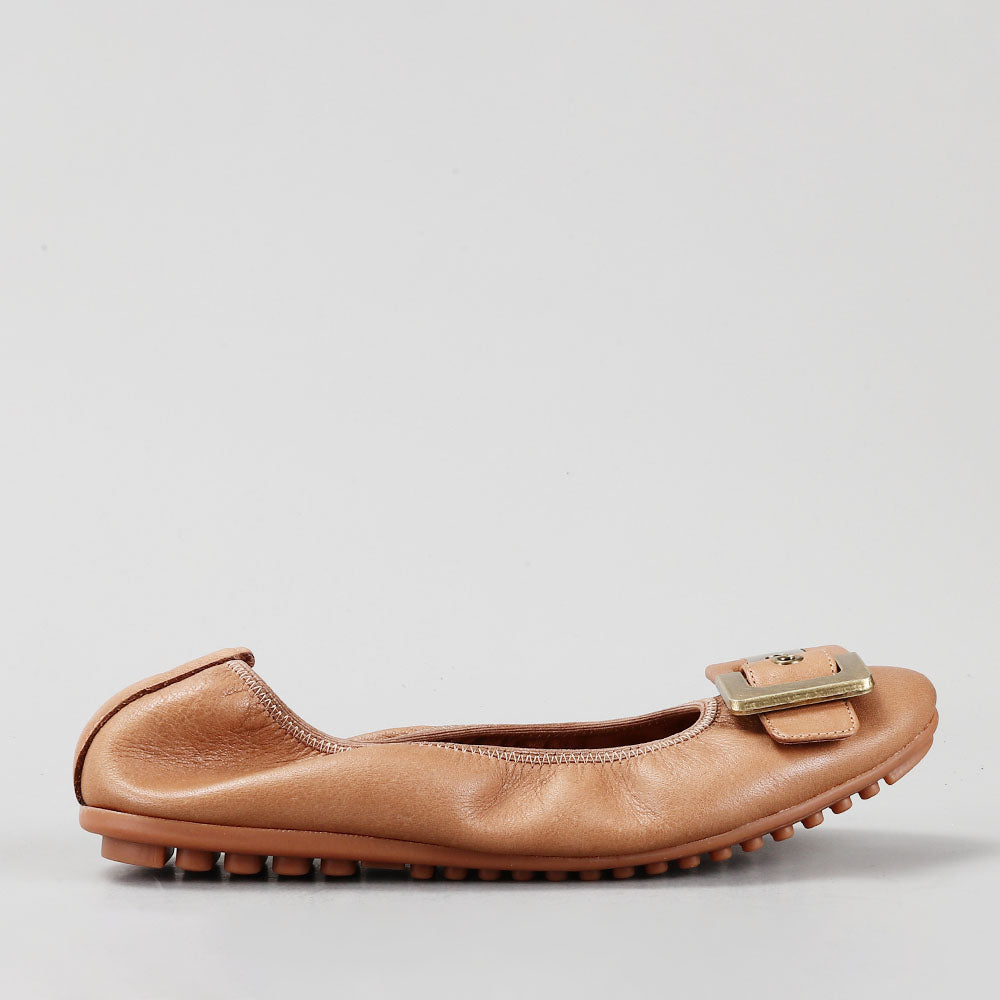 Ballencia - New Natur - LE SANSA