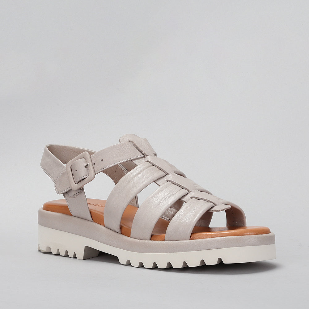 Beetel - Silver Grey