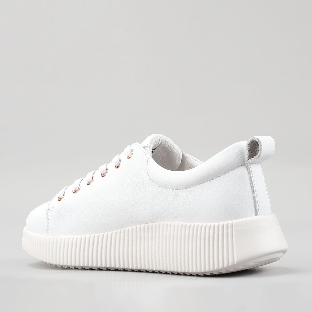 Claranta - White - Naked Arches