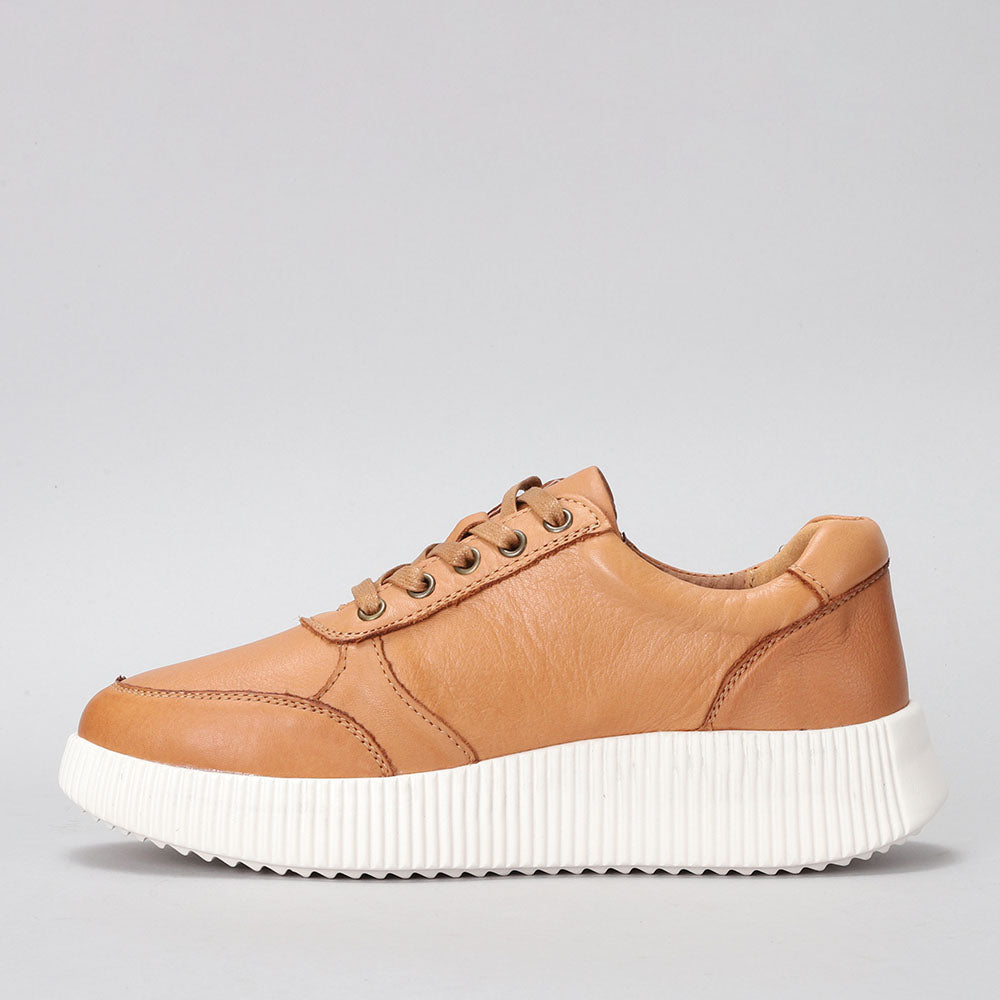 Cosco - Tan - LE SANSA