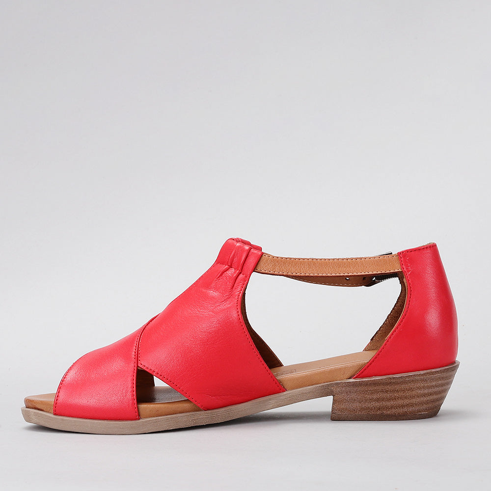 Digby - Red/Tan - LE SANSA