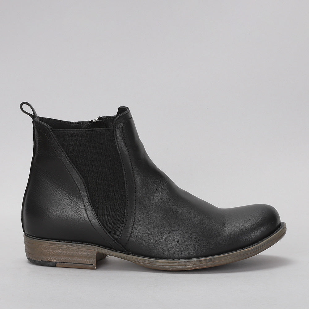 Dutch - Black - LE SANSA