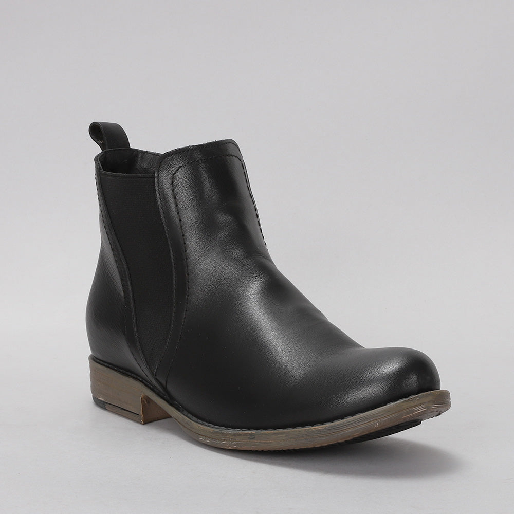 Dutch - Black - LE SANSA