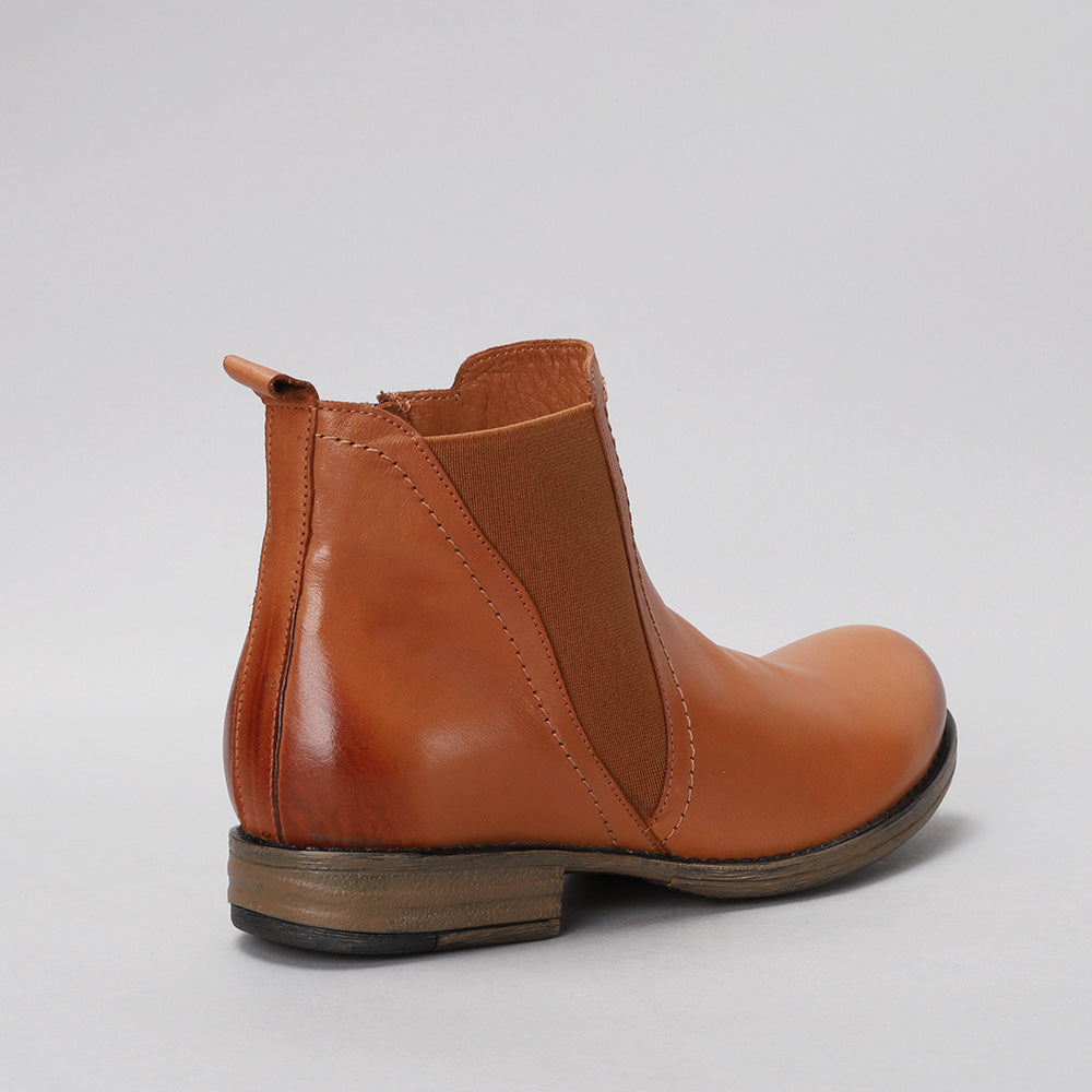 Dutch - Tan - LE SANSA