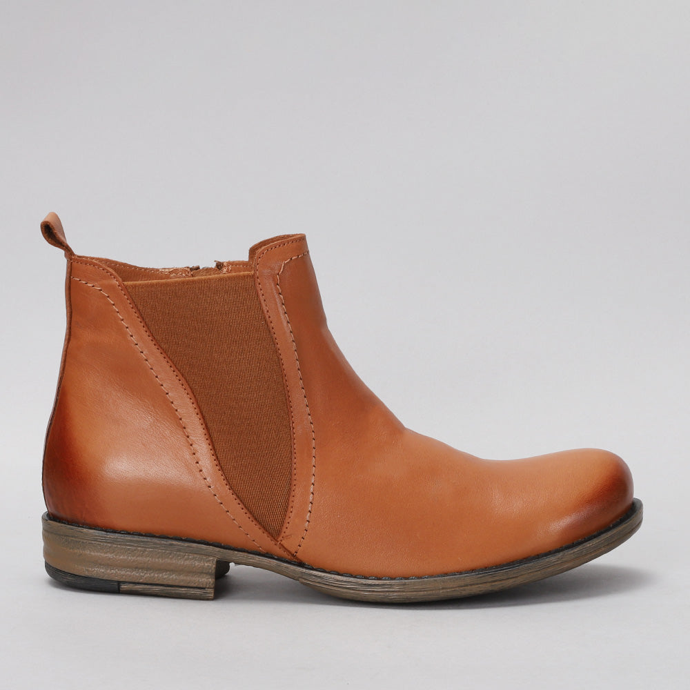 Dutch - Tan - LE SANSA