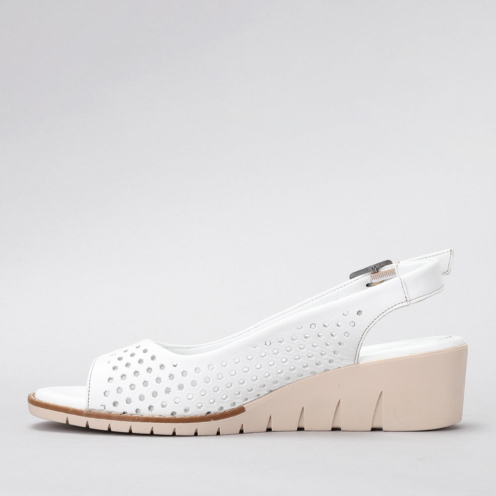 Eva - White - LE SANSA