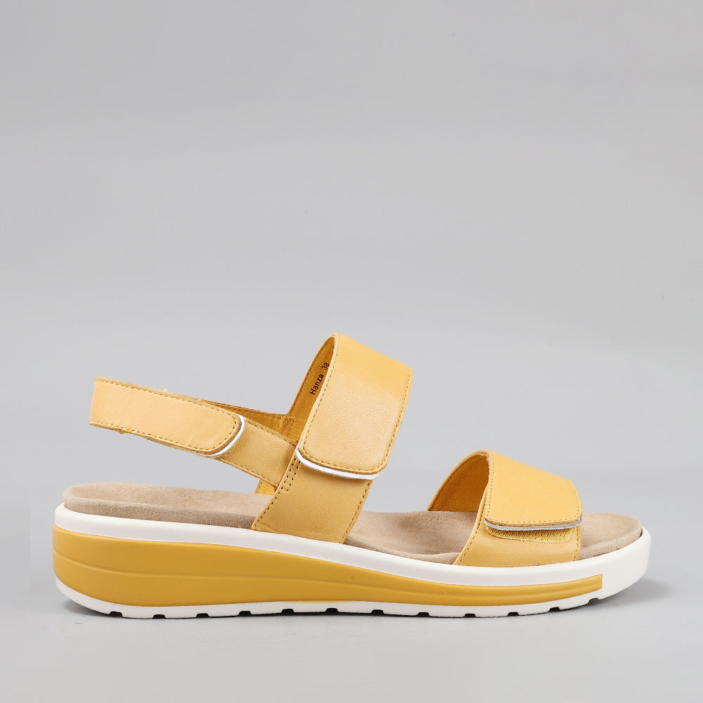 Hanza - Mustard - Naked Arches