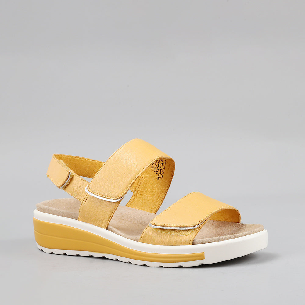 Hanza - Mustard - Naked Arches