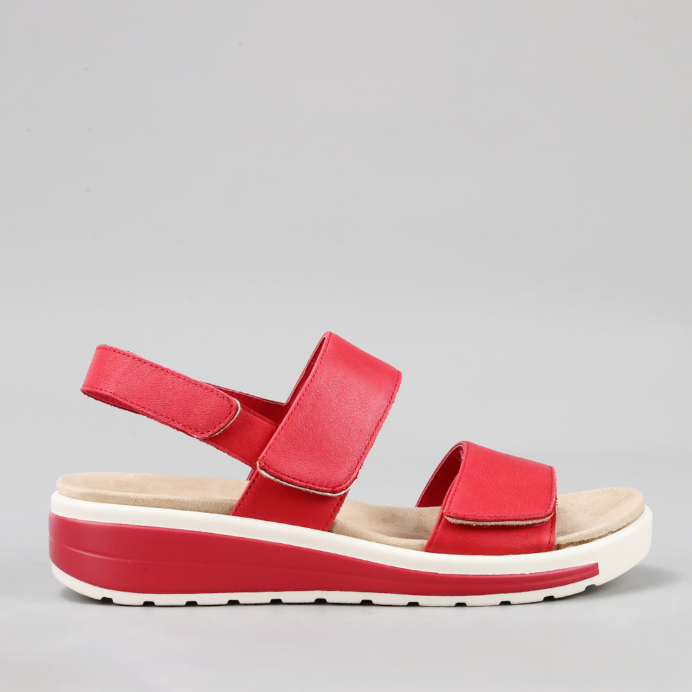Hanza - Dk Red - Naked Arches