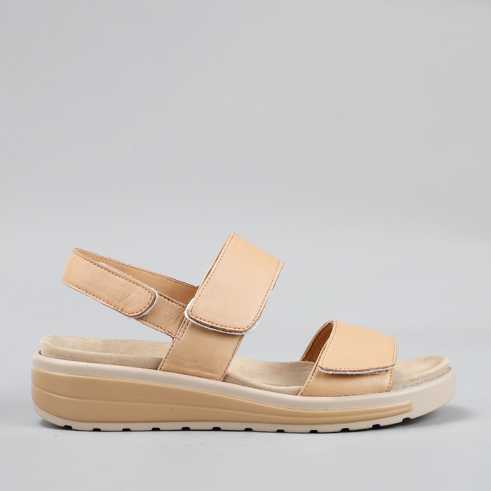 Hanza - Scissors/Soft Gold - Naked Arches