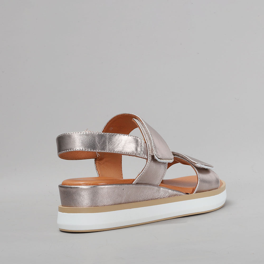 Holly - Champagne - LE SANSA