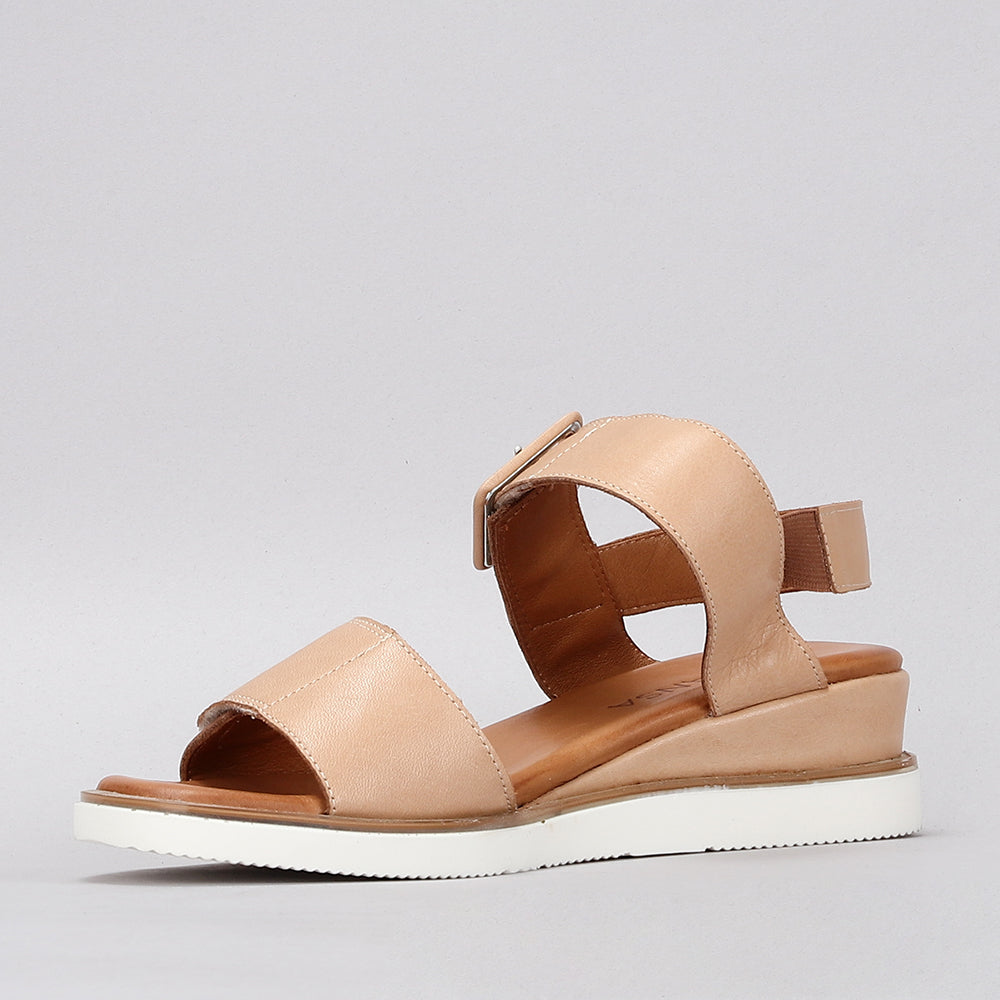 Tampa - Scissors - LE SANSA