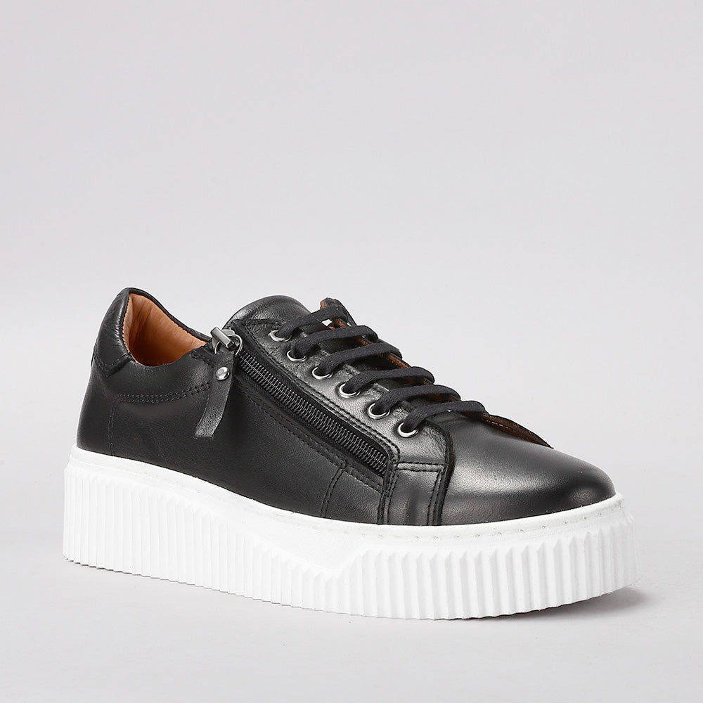 Palmer - Black - LE SANSA