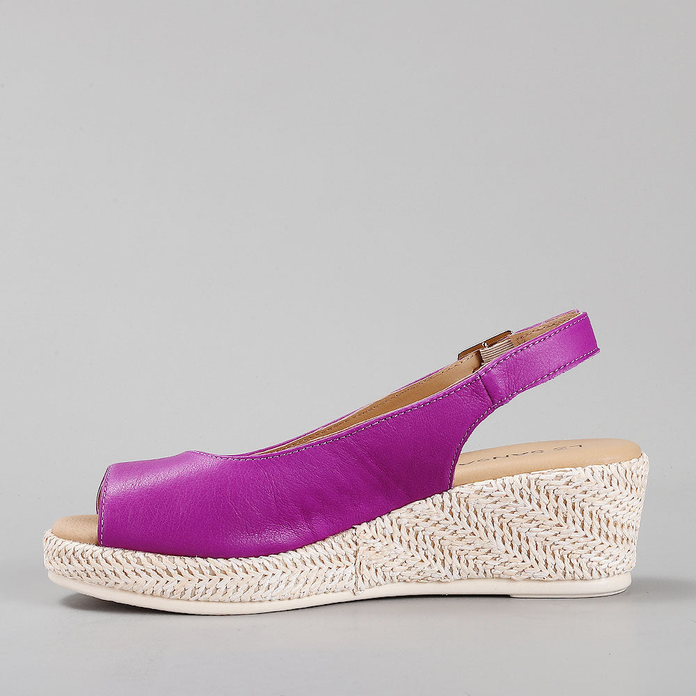 Petunia - Purple - LE SANSA