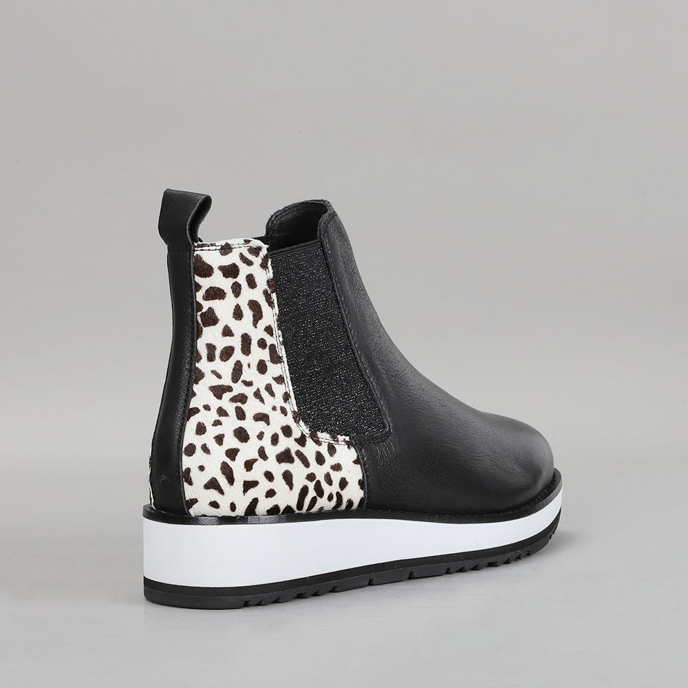 Sting - Black Snow Pony - LE SANSA