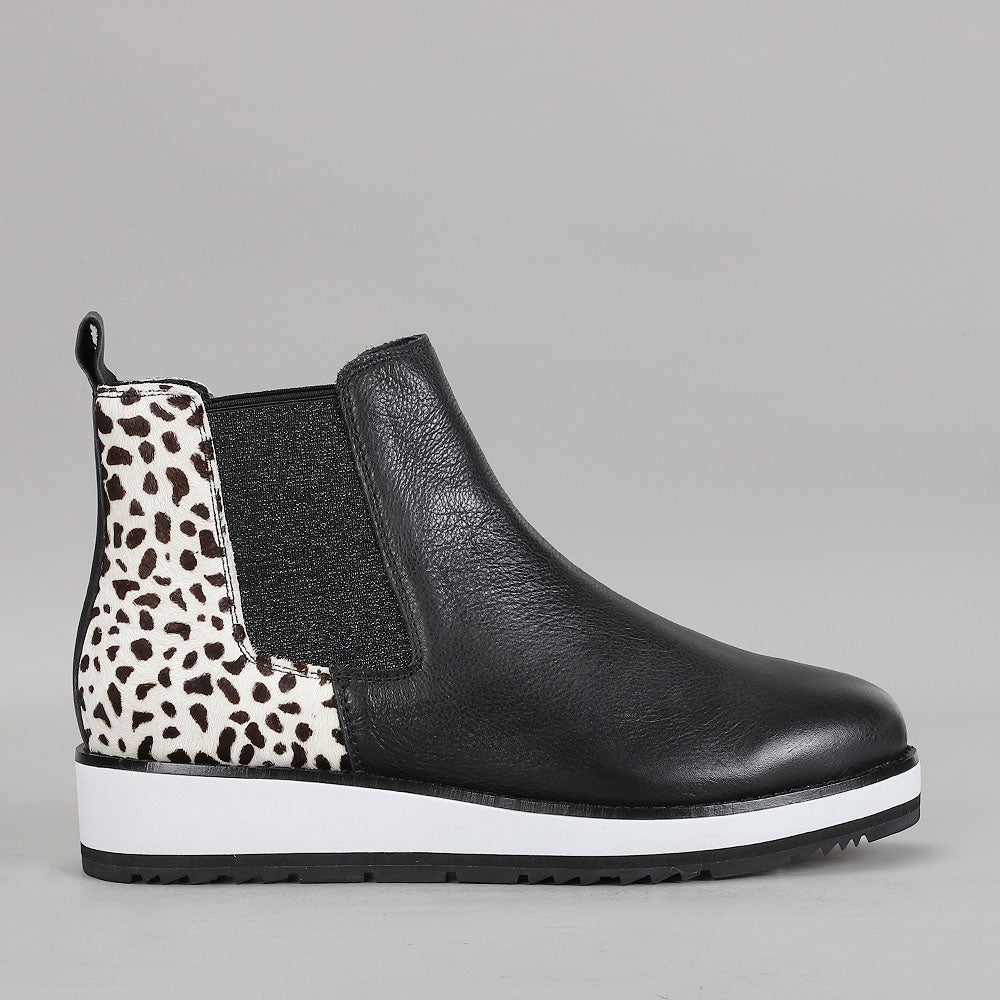 Sting - Black Snow Pony - LE SANSA