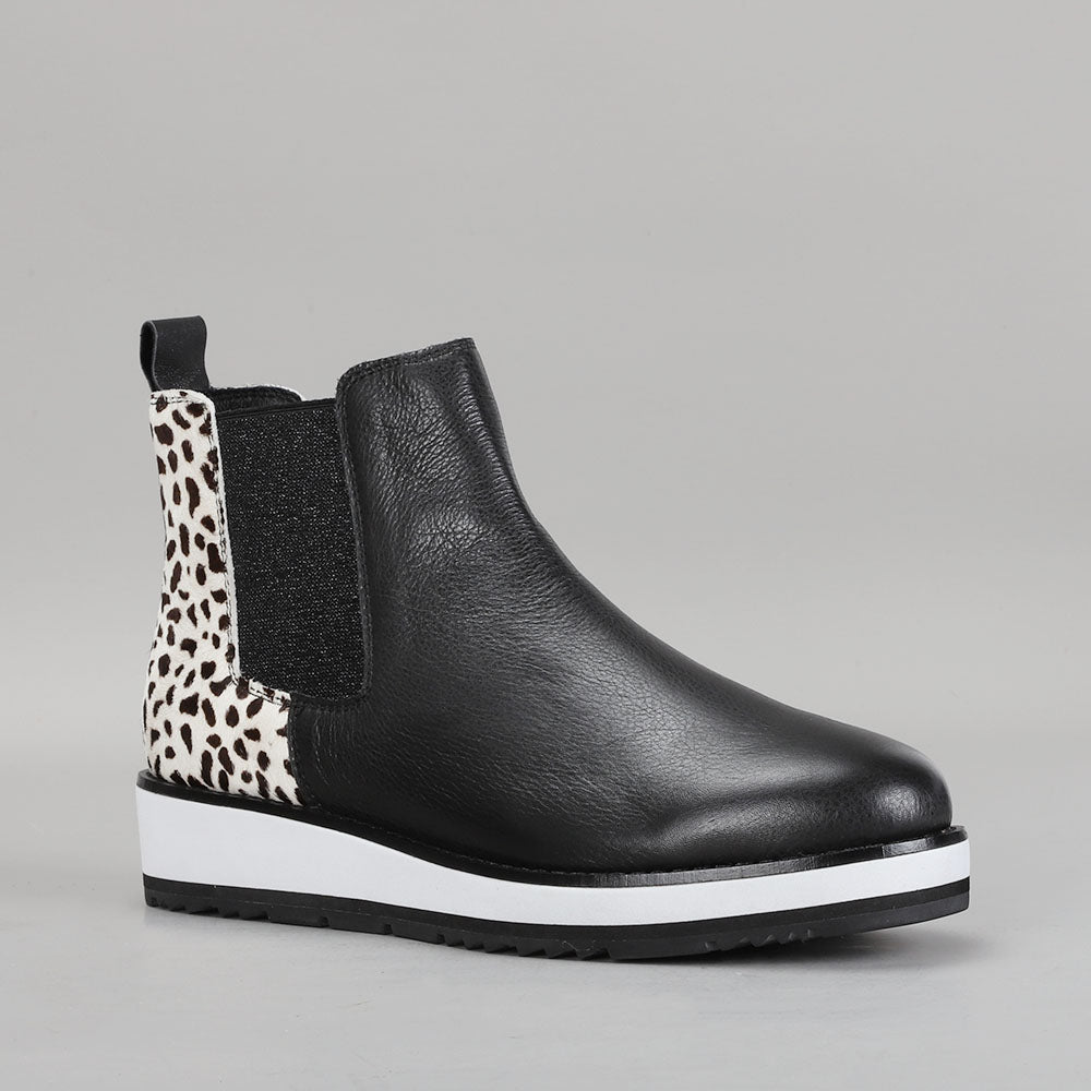 Sting - Black Snow Pony - LE SANSA